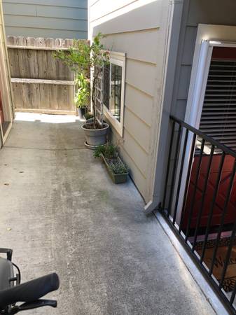 1BR/1BA Apartment · Sebastopol photo 2