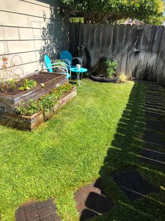1BR/1BA Apartment · Sebastopol photo 4