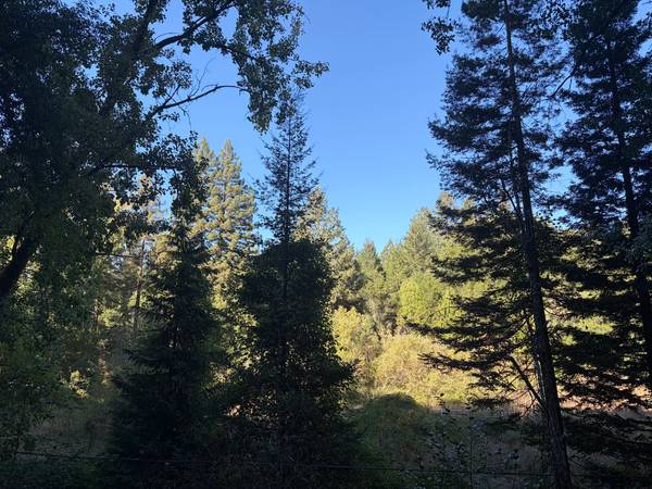 1BR/1BA Single Family House on Hwy 116 · Rio Nido photo 3