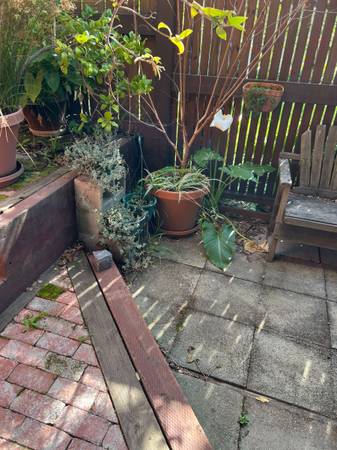 0BR/1BA Single Family House · Berkeley photo 4