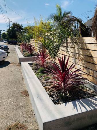 1BR/1BA In Law Adu on Linden St · Santa Cruz photo 5
