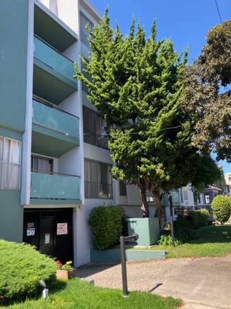 2BR/1BA Apartment on Bellevue · Oakland photo 3