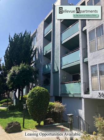 2BR/1BA Apartment on Bellevue · Oakland photo 2