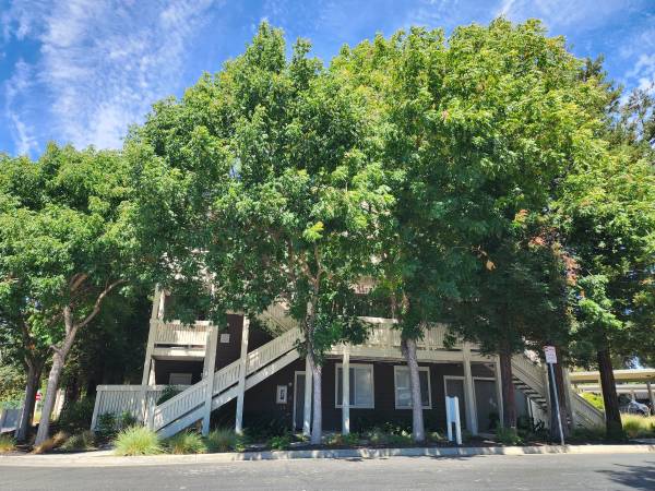 Apartments on Parkwood Circle · Dublin photo 4
