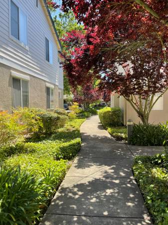 2BR/1BA Apartment on Prospect Avenue · Santa Rosa