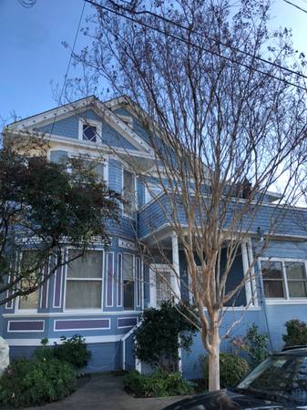 1BR/1BA Single Family House · Kentfield photo 2