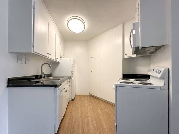 Apartments on Lincoln Ave - 315a · San Rafael photo 5