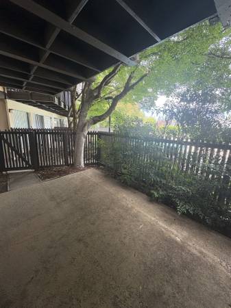 1BR/1BA Apartment · Larkspur photo 5