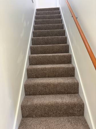 1BR/1BA In Law Adu · San Francisco photo 5