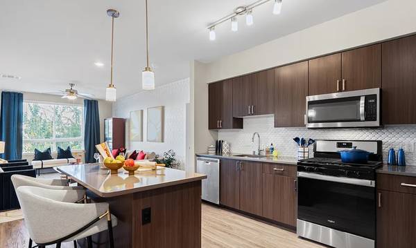 1BR/2BA Apartment · San Jose photo 5