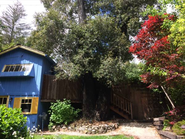 2BR/1BA Single Family House · Felton photo 2