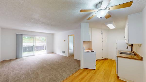 Apartments on Lincoln Ave - 315a · San Rafael photo 2