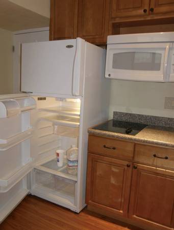 1BR/1BA Other · San Jose photo 3