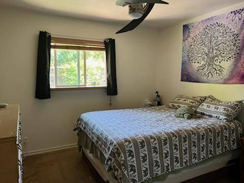 1BR/1BA Single Family House · Sebastopol photo 4