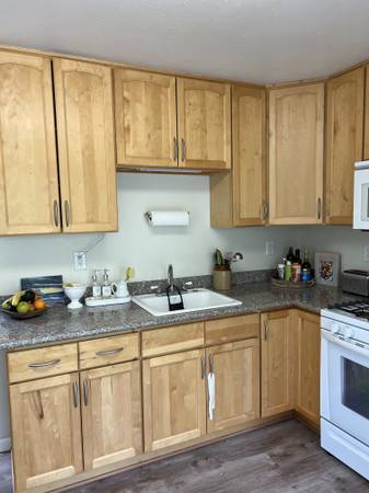 1BR/1BA Apartment · Mill Valley photo 4