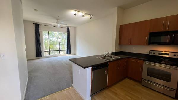 1BR/1BA Condo · San Jose photo 5