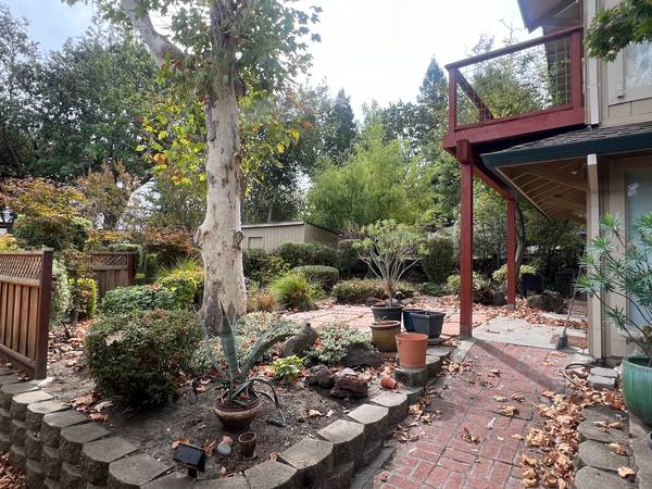 4BR/3BA Single Family House on Adams Way · Pleasanton photo 2