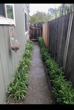 0BR/1BA In Law Adu · Sebastopol photo 2