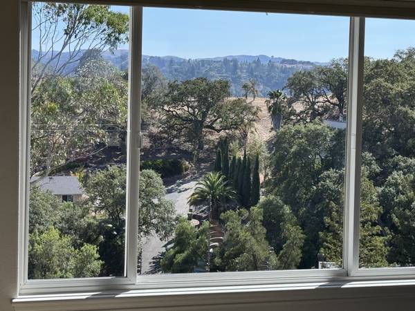 1BR/1BA In Law Adu · Walnut Creek photo 4