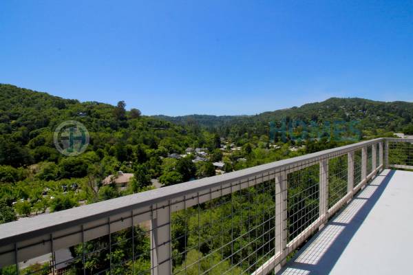 4BR/4BA Townhouse on Live Oak · Fairfax photo 4