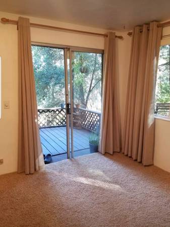1BR/1BA Apartment · Felton photo 4