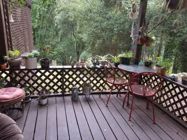 1BR/1BA Apartment · Felton photo 2