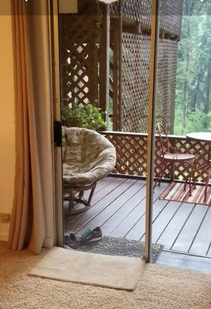 1BR/1BA Apartment · Felton photo 3