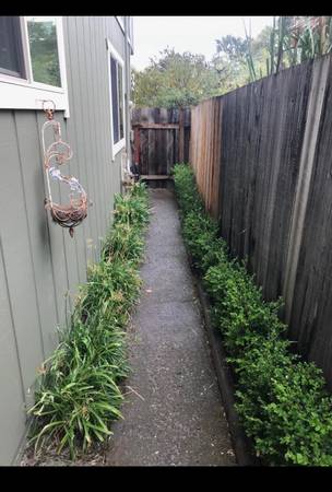 1BR/1BA In Law Adu on Near Barlow · Sebastopol photo 2