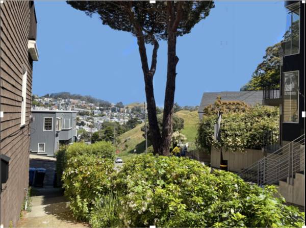 1BR/1BA Single Family House · San Francisco photo 4