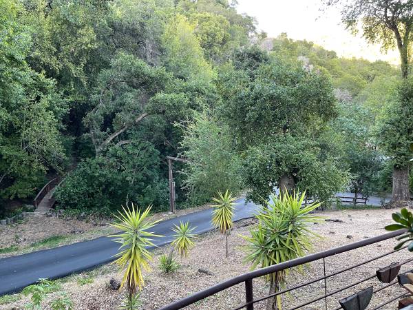 1BR/1BA Other · Los Gatos photo 2