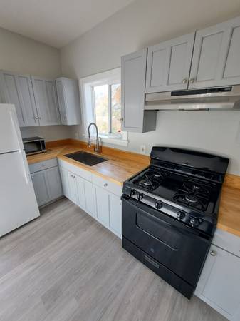 1BR/1BA Other · Deer Park photo 4