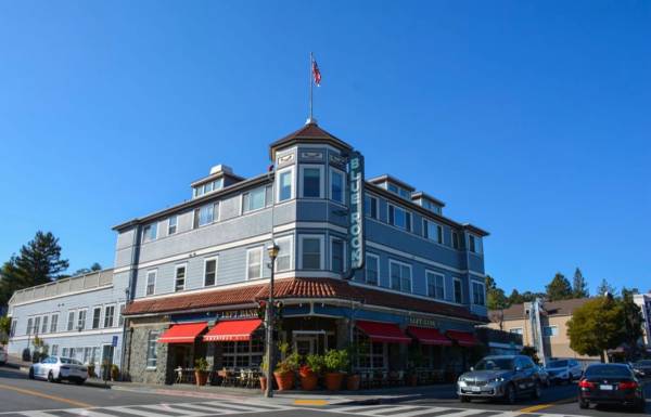 0BR/1BA Apartment · Larkspur photo 5