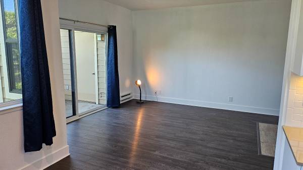 1BR/1BA Condo · Richmond photo 5