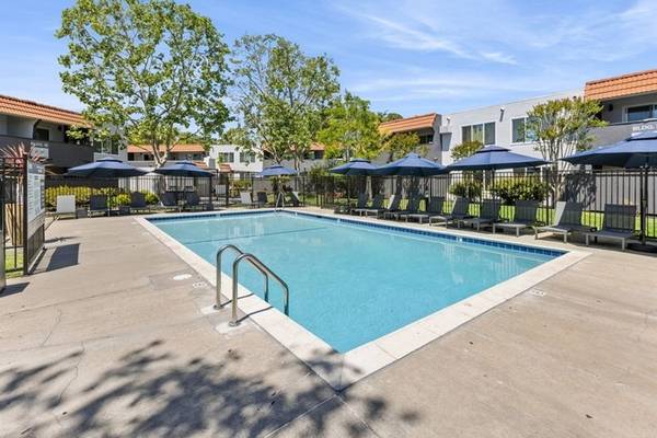 1BR/1BA Apartment · San Jose photo 3