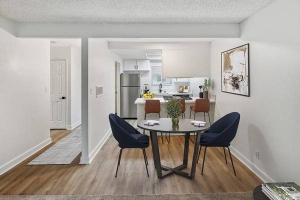 1BR/1BA Apartment · San Jose photo 5
