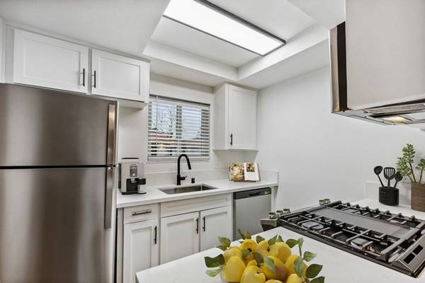 1BR/1BA Apartment · San Jose