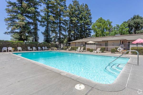 1BR/1BA Apartment · Fresno photo 5