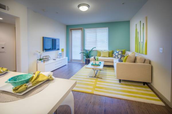 Apartments on Charlotte Dr · San Jose photo 4