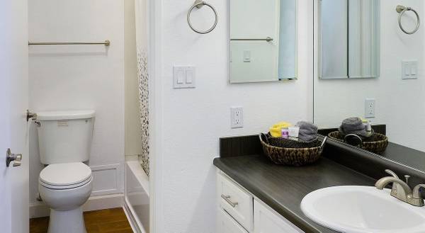 Apartments on Del Monte Avenue · Morgan Hill photo 3