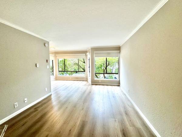 1BR/1BA Apartment on Lincoln Way · San Francisco photo 3