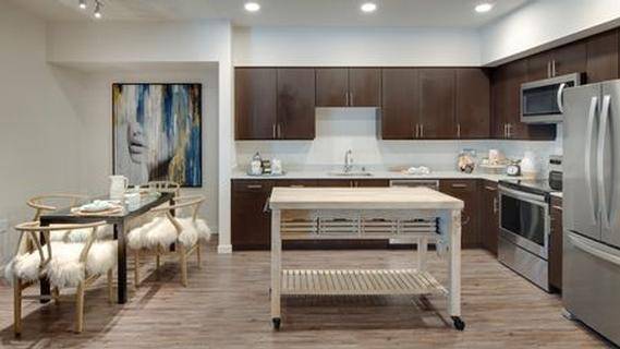 1BR/1BA Apartment · San Jose photo 2