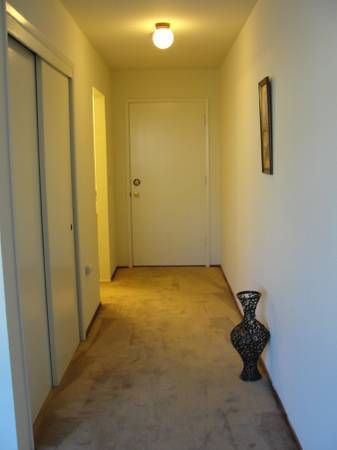 1BR/1BA Apartment · San Jose photo 3