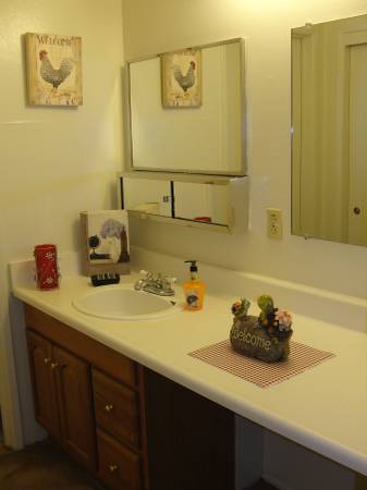 1BR/1BA Apartment · San Jose photo 2