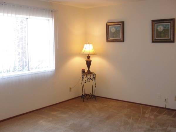 1BR/1BA Apartment · San Jose photo 4