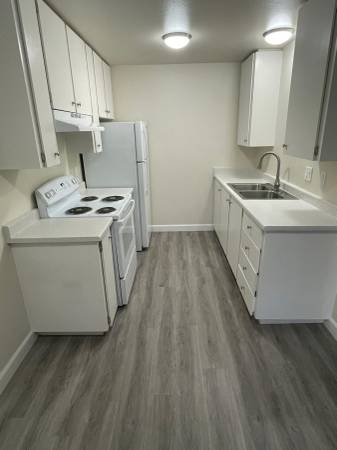 1BR/1BA Apartment · Sebastopol photo 3