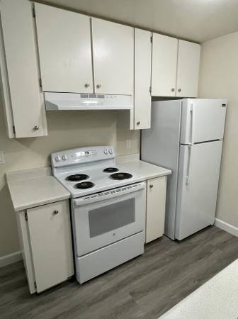 1BR/1BA Apartment · Sebastopol photo 4
