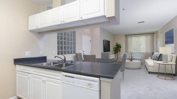 1BR/1BA Apartment · San Jose photo 4