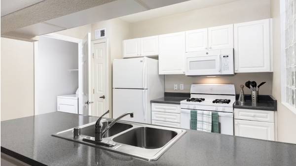 1BR/1BA Apartment · San Jose photo 5