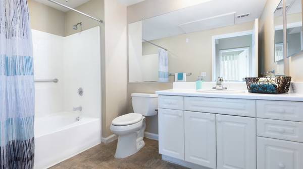 1BR/1BA Apartment · San Jose photo 3