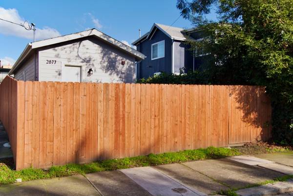 2BR/1BA Single Family House on California Street · Berkeley photo 2
